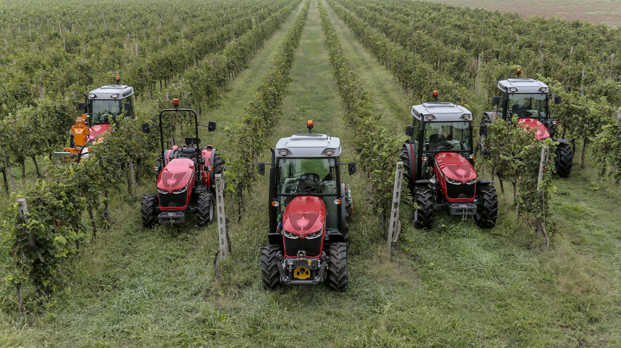 mf3700_group_it_0917_8950_142632